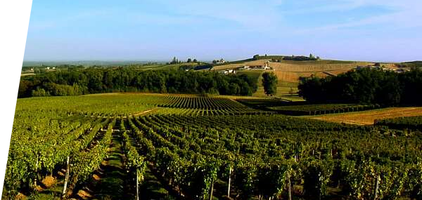 Chateau Puy-Servain